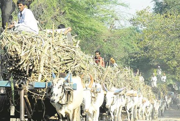 151 तालुक्यात दुष्काळ जाहीर, दुष्काळाचे निकष आणि सवलती कोणत्या?