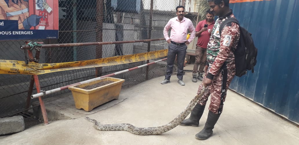 महाराष्ट्राला पूर्णवेळ गृहमंत्री असावा, आर. आर. आबांच्या मुलीची मागणी