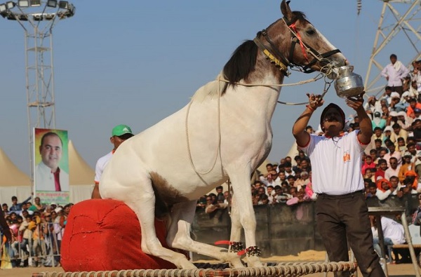 सारा आणि श्रद्धाचीही चौकशी संपली; एनसीबीच्या कार्यालयातून बाहेर