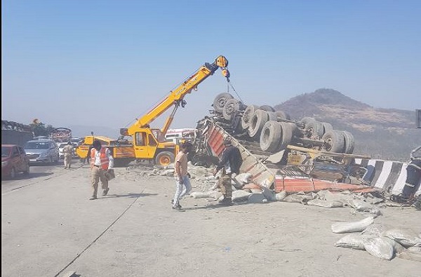 मुंबईत बोक्यांचा सुळसुळाट, कुत्र्यानंतर आता मांजरांची नसबंदी