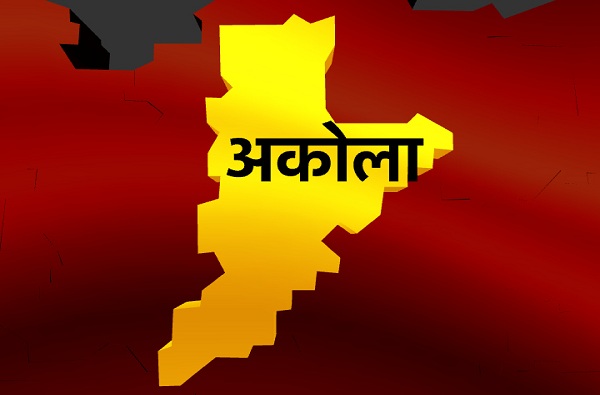 Beed Lok Sabha Results : बीड लोकसभा निकाल 2019