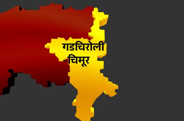 Chandrapur Lok Sabha Results : चंद्रपूर लोकसभा निकाल 2019