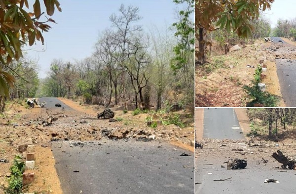 भाजपचा प्रचार करणारा कुत्रा ताब्यात